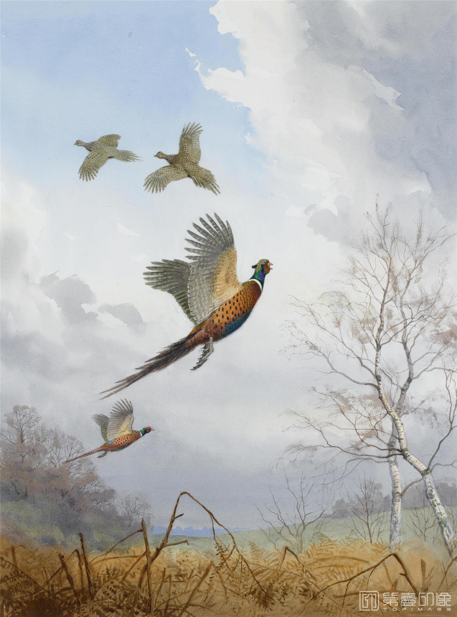 油画-约翰.赛里尔·哈里森 John Harrison作品集-064